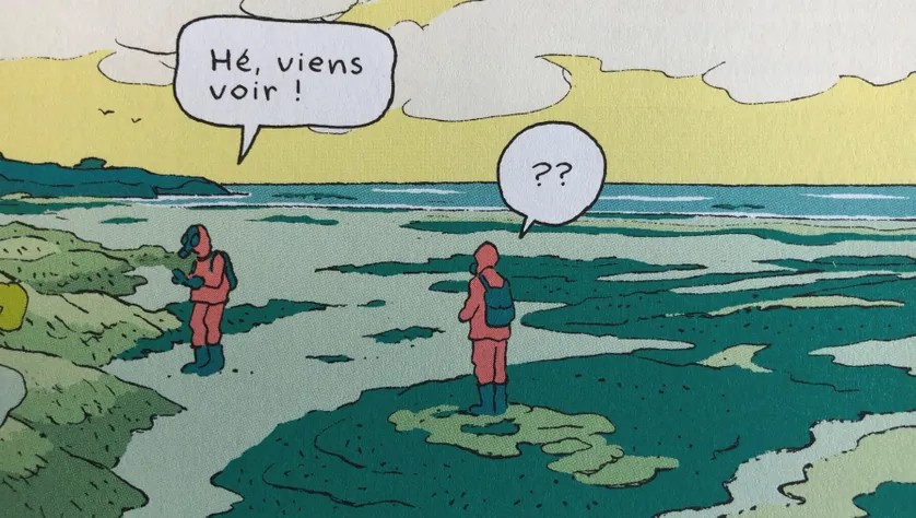photos_montage/algues_vertes_deni.jpg